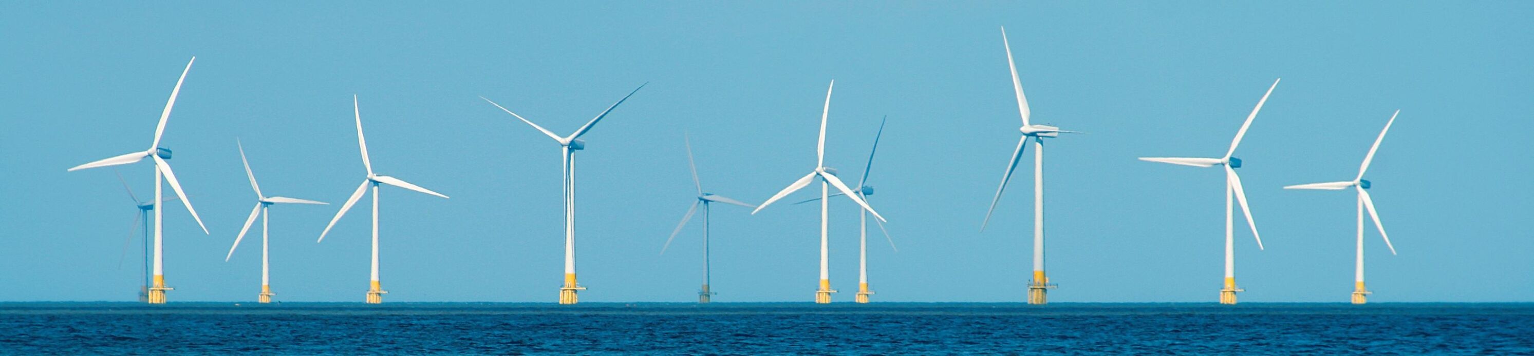 BOEM Wind farm in sea US Dept of Interior image online June 2022.jpg
